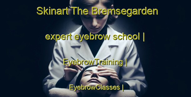 Skinart The Bremsegarden expert eyebrow school | EyebrowTraining | EyebrowClasses | SkinartTraining-Sweden